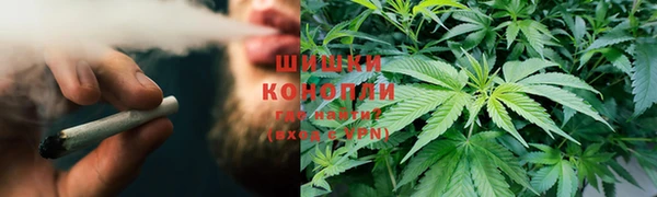 мет Няндома