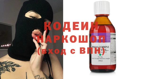 хмурый Нестеровская