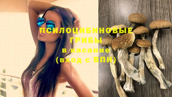 мдпв Нягань
