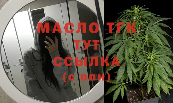 хмурый Нестеровская