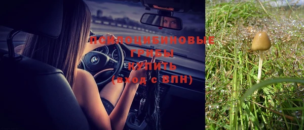 мдпв Нягань