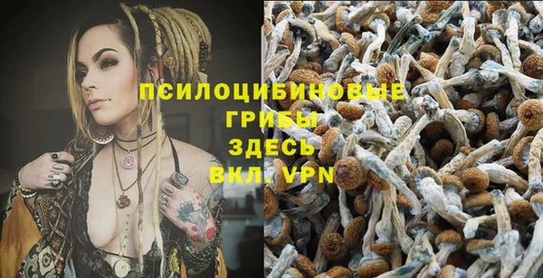 мет Няндома