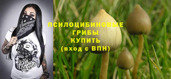 мет Няндома