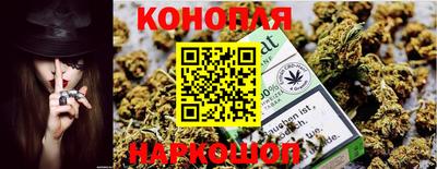 Альфа ПВП Заводоуковск