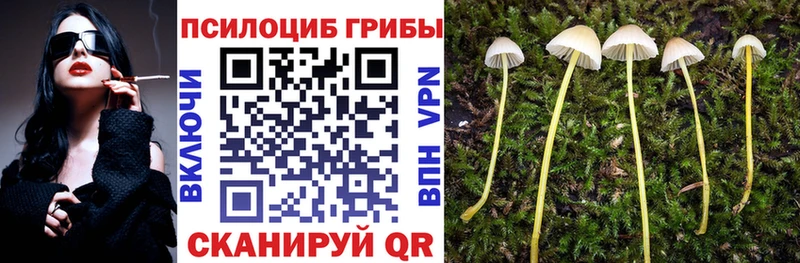 Галлюциногенные грибы GOLDEN TEACHER  Красноуфимск 