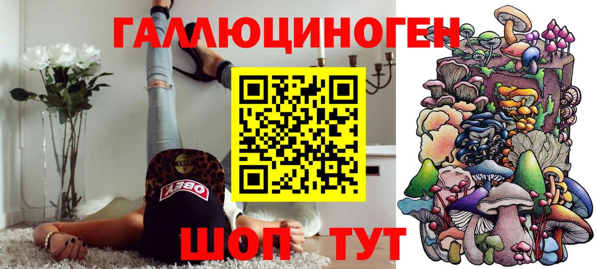 Псилоцибиновые грибы GOLDEN TEACHER  Галлюциногенные грибы Psilocybe  Красноуфимск  Вход с VPN 